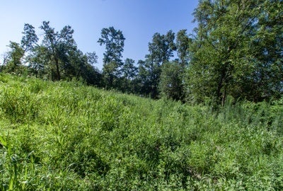 7 Acres On Park Road Iowa City, IA 52246 - Photo 19 of 30 Gallery Image 19