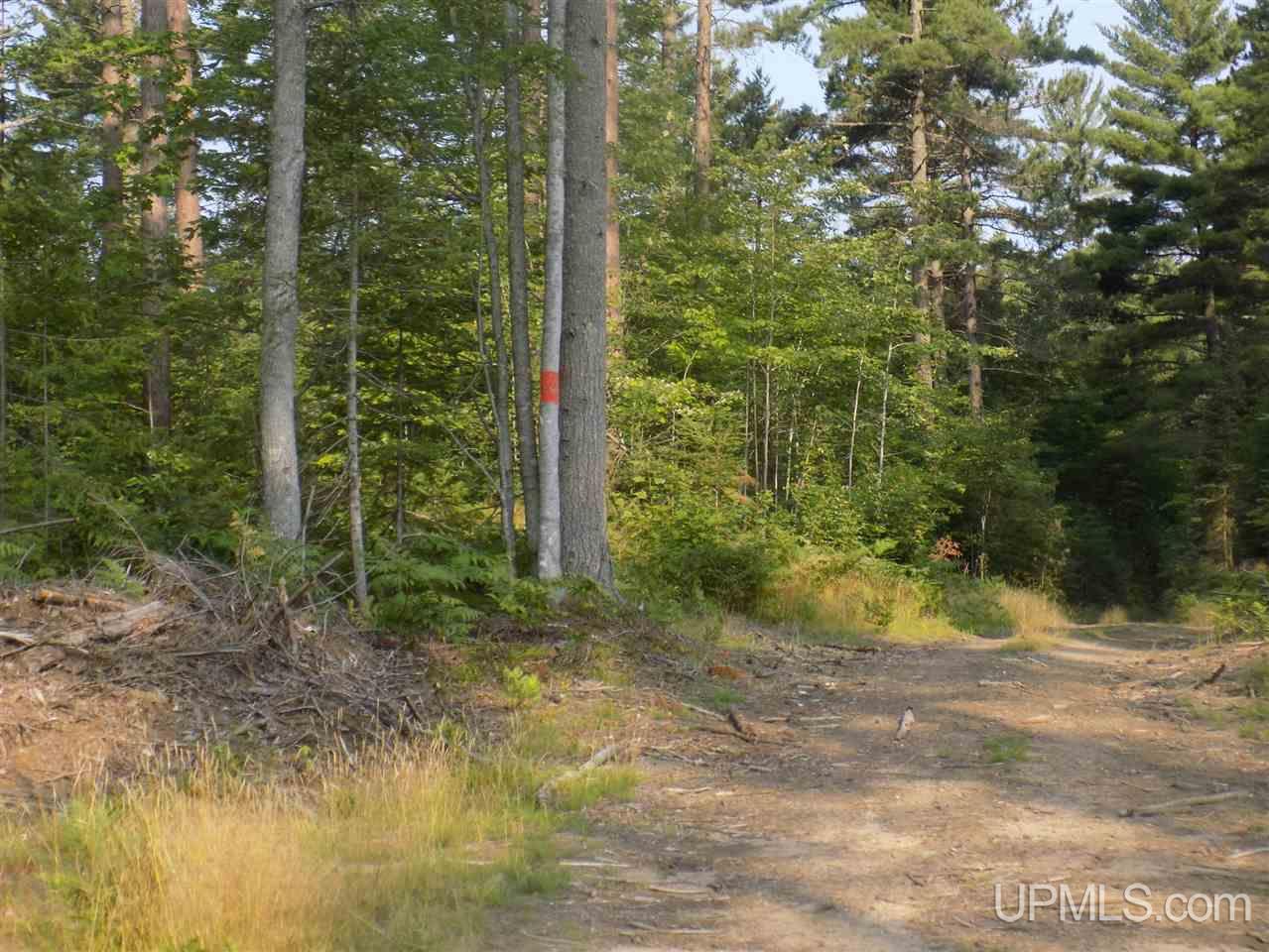 Off Off Co Road Ishpeming, MI 49849 - Photo 12 of 18