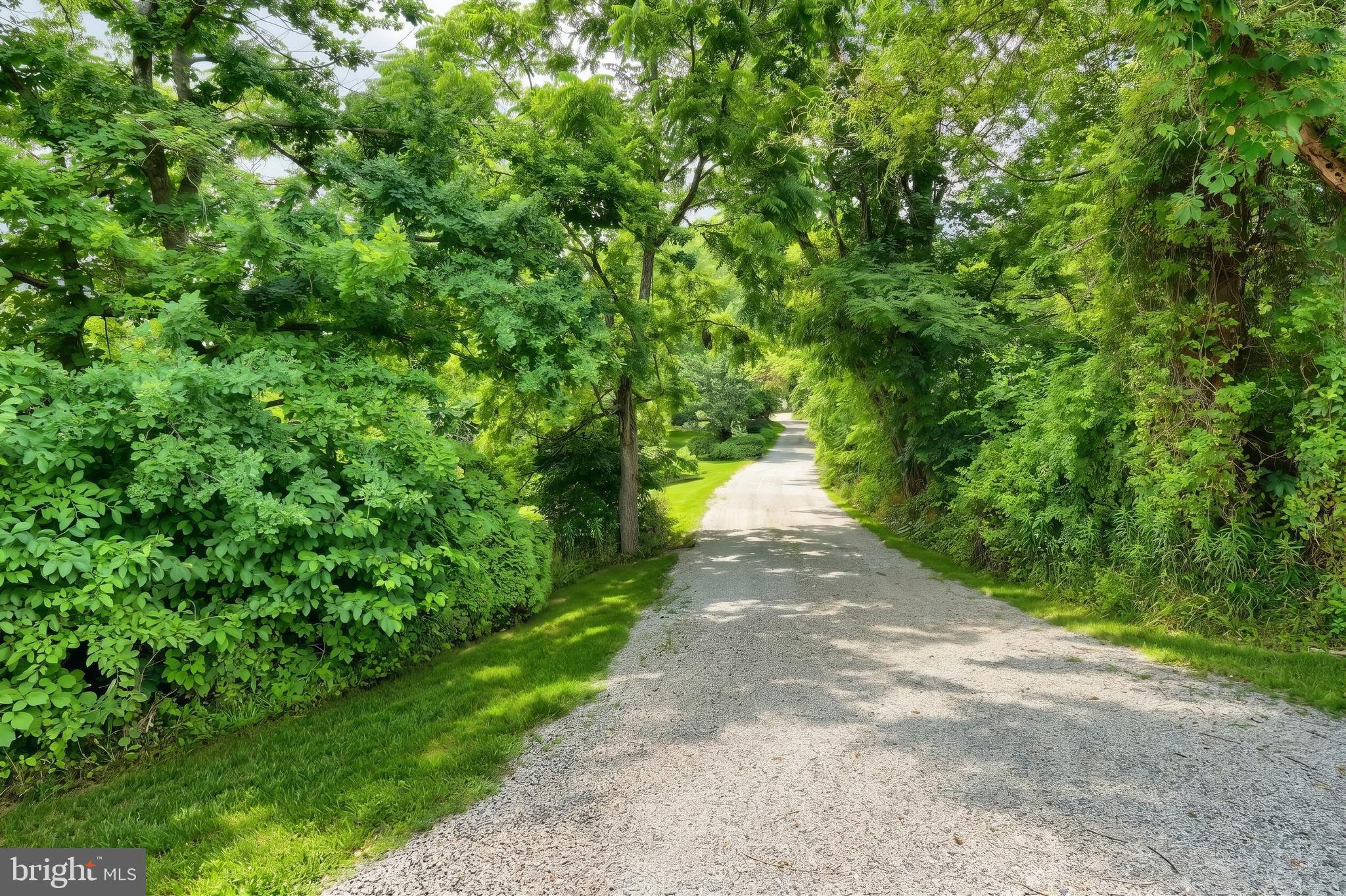 700 White Oak Tree Road Gardners, PA 17324 - Photo 20 of 71 Fresh Stones on the driveway