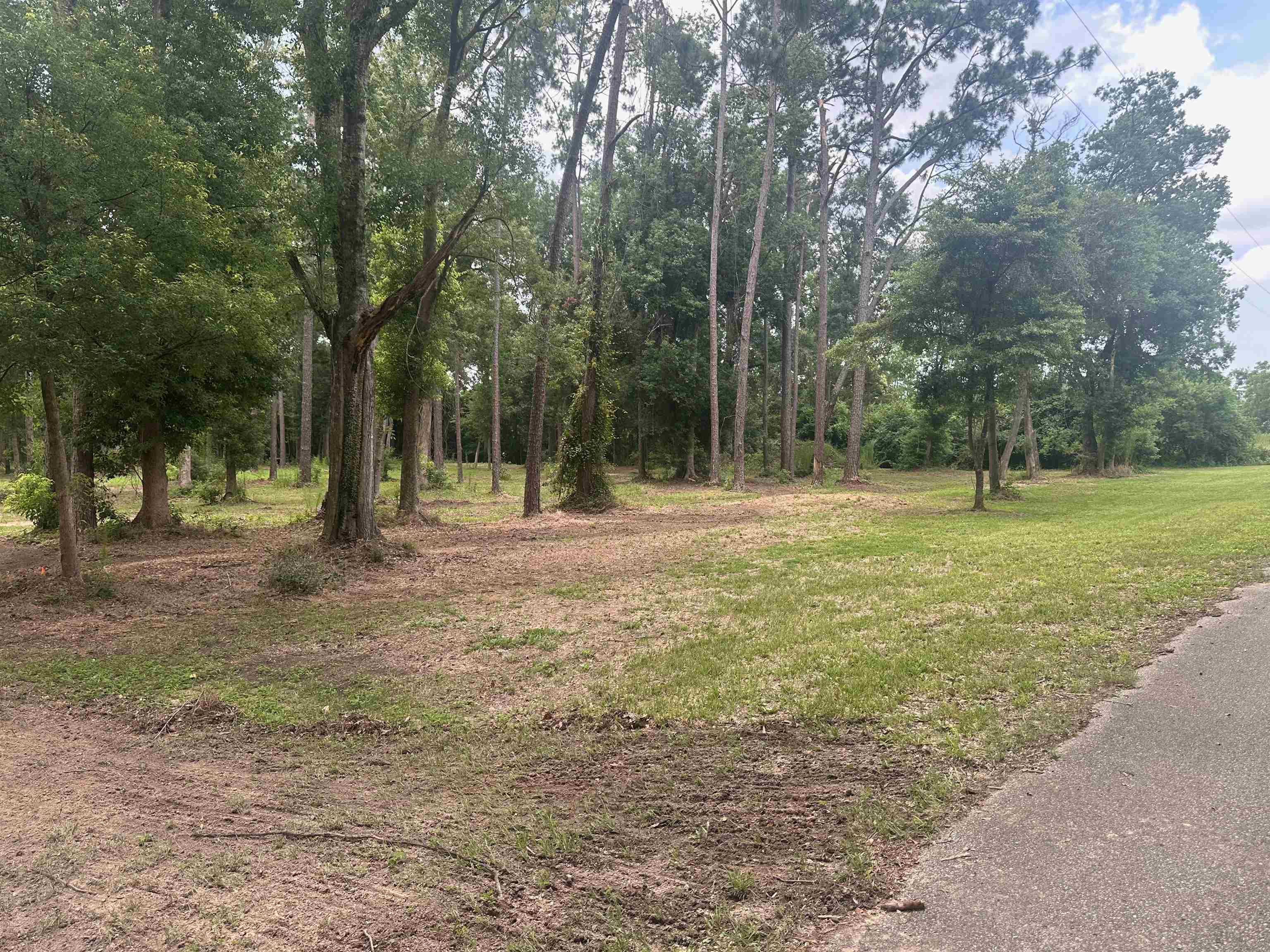 23040 Forland Road Silverhill, AL 36576 - Photo 8 of 13 Yard