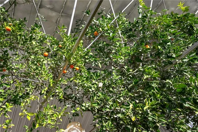 $394,900 | 1030 Northeast 88th Street, Kansas City, MO 64155