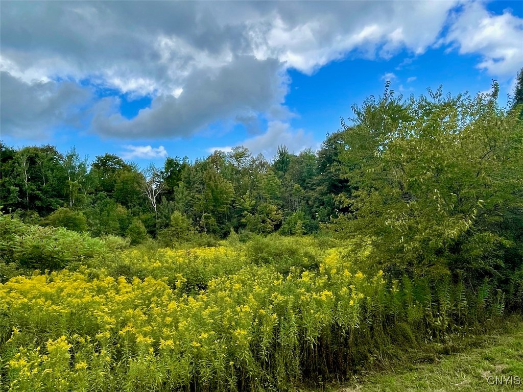 Maiden Lane Road Oswego, NY 13126 - Photo 2 of 8
