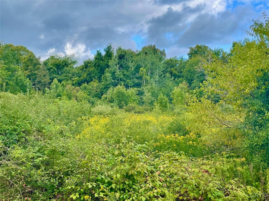 Maiden Lane Road Oswego, NY 13126 - Photo 3 of 8