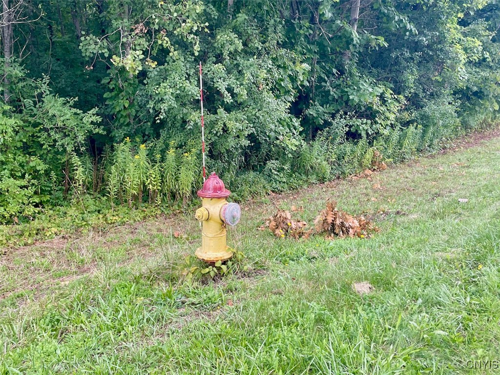 Maiden Lane Road Oswego, NY 13126 - Photo 6 of 8