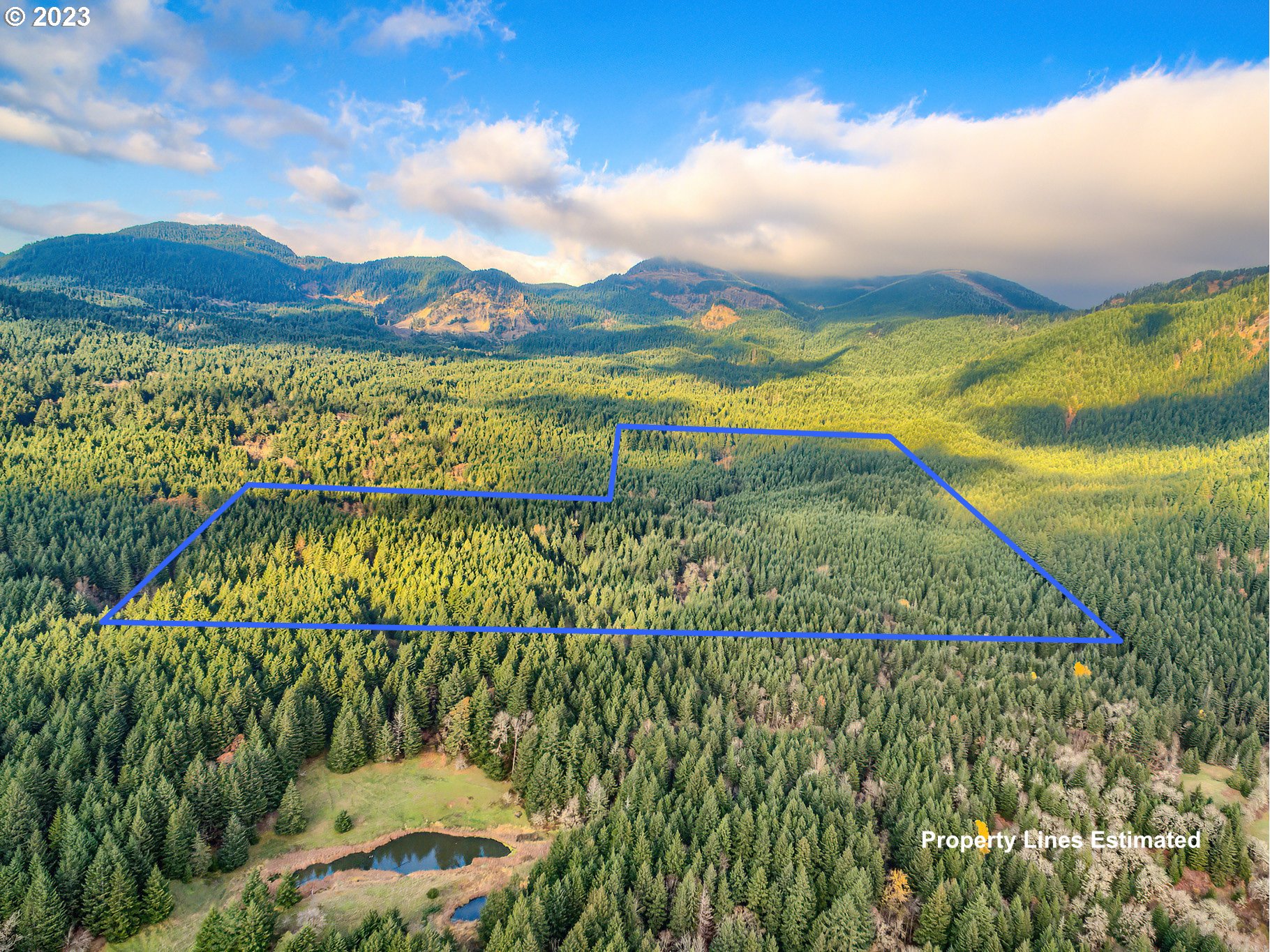 a view of lake with mountain