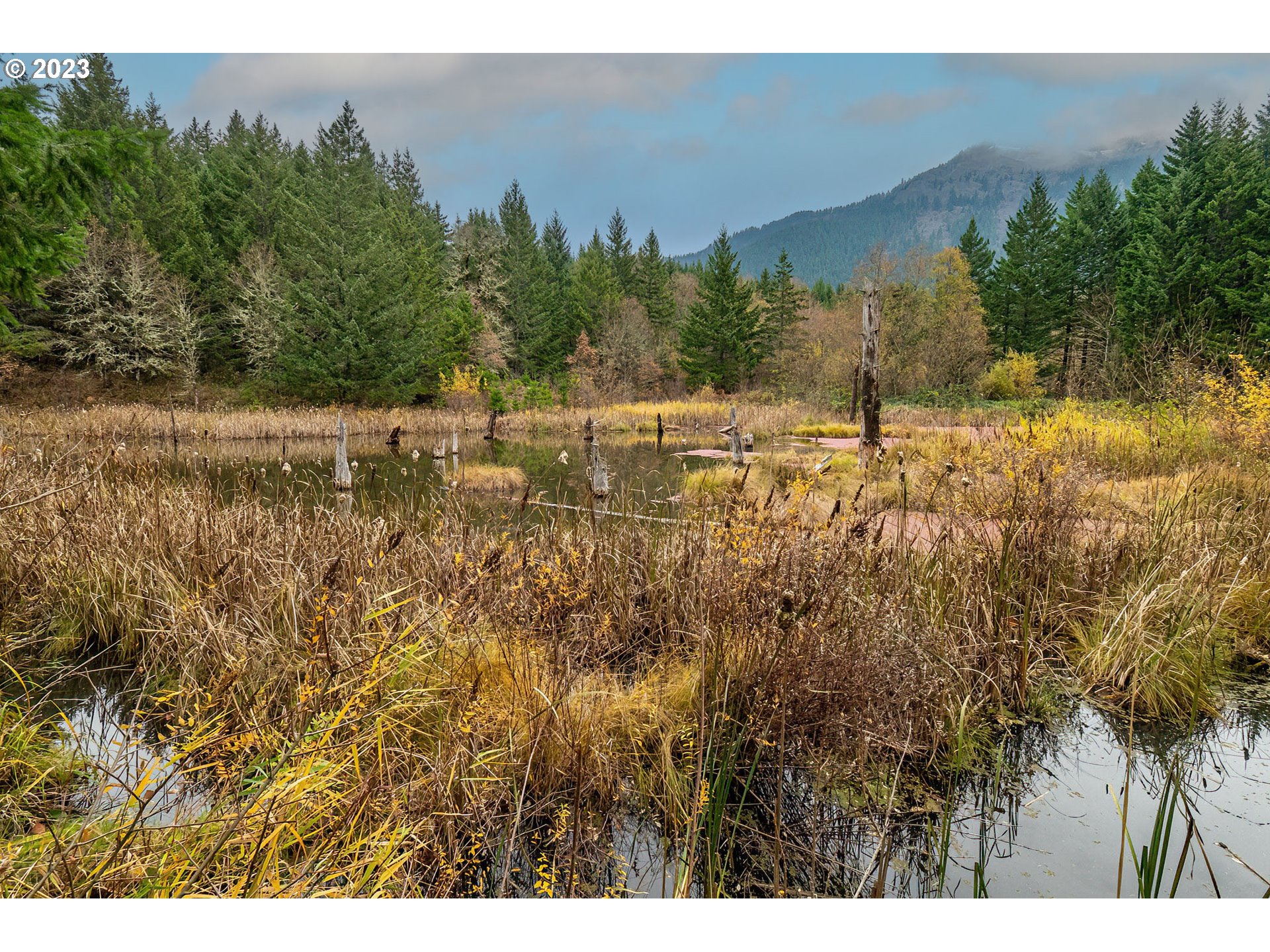 Bergen Road Stevenson, WA 98648 - Photo 13 of 17 a view of a yard