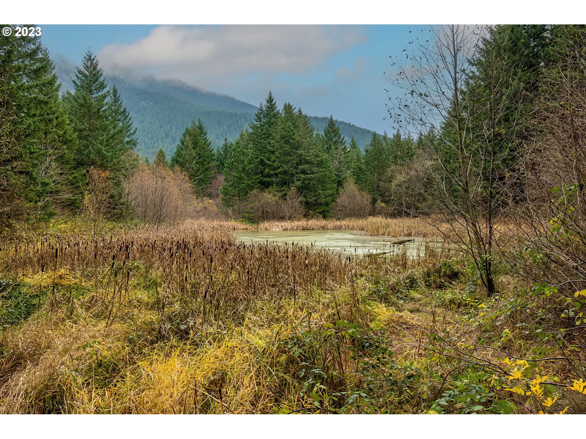 Bergen Road Stevenson, WA 98648 - Photo 14 of 17 a view of outdoor space and yard