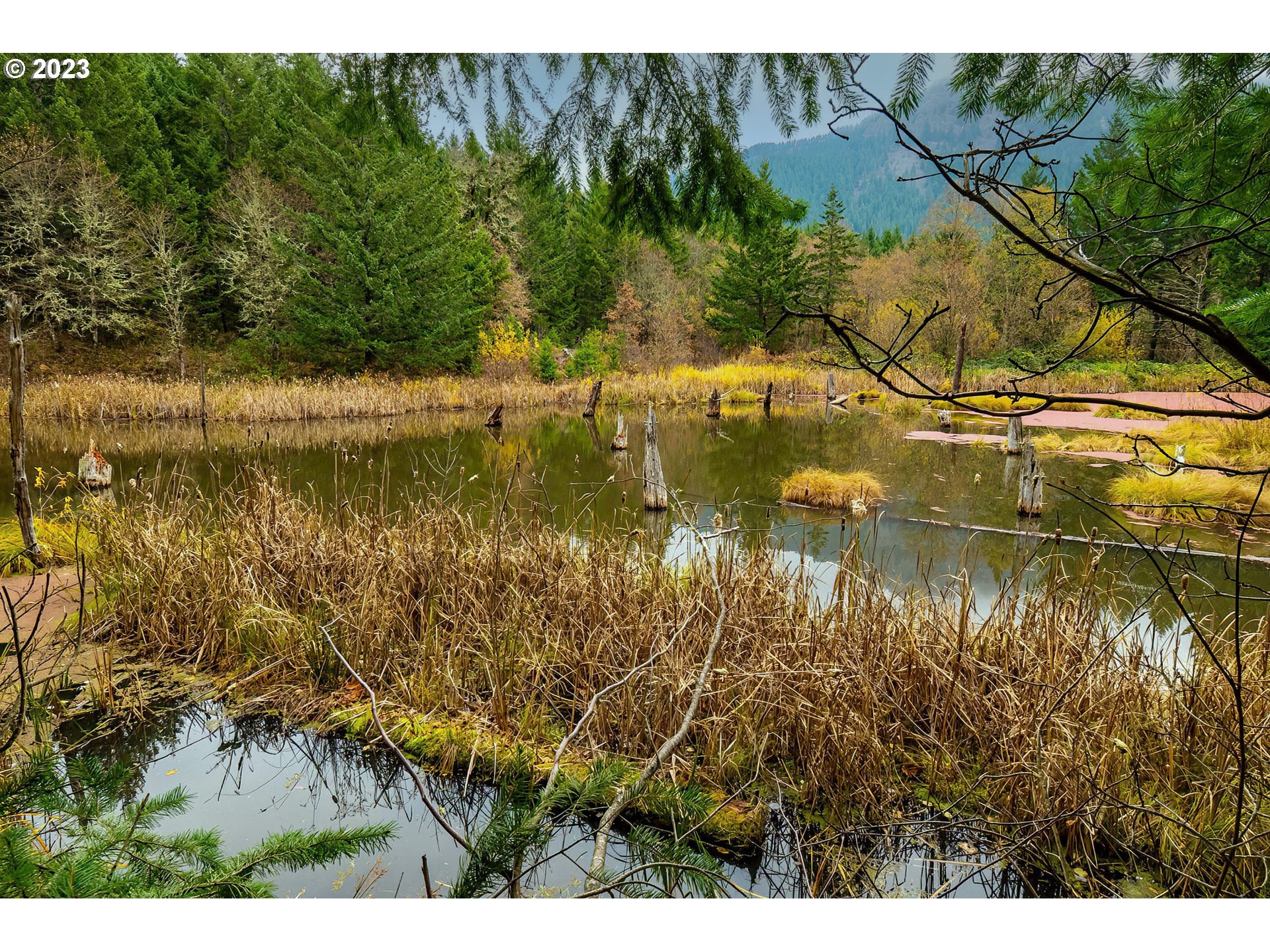 Bergen Road Stevenson, WA 98648 - Photo 17 of 17