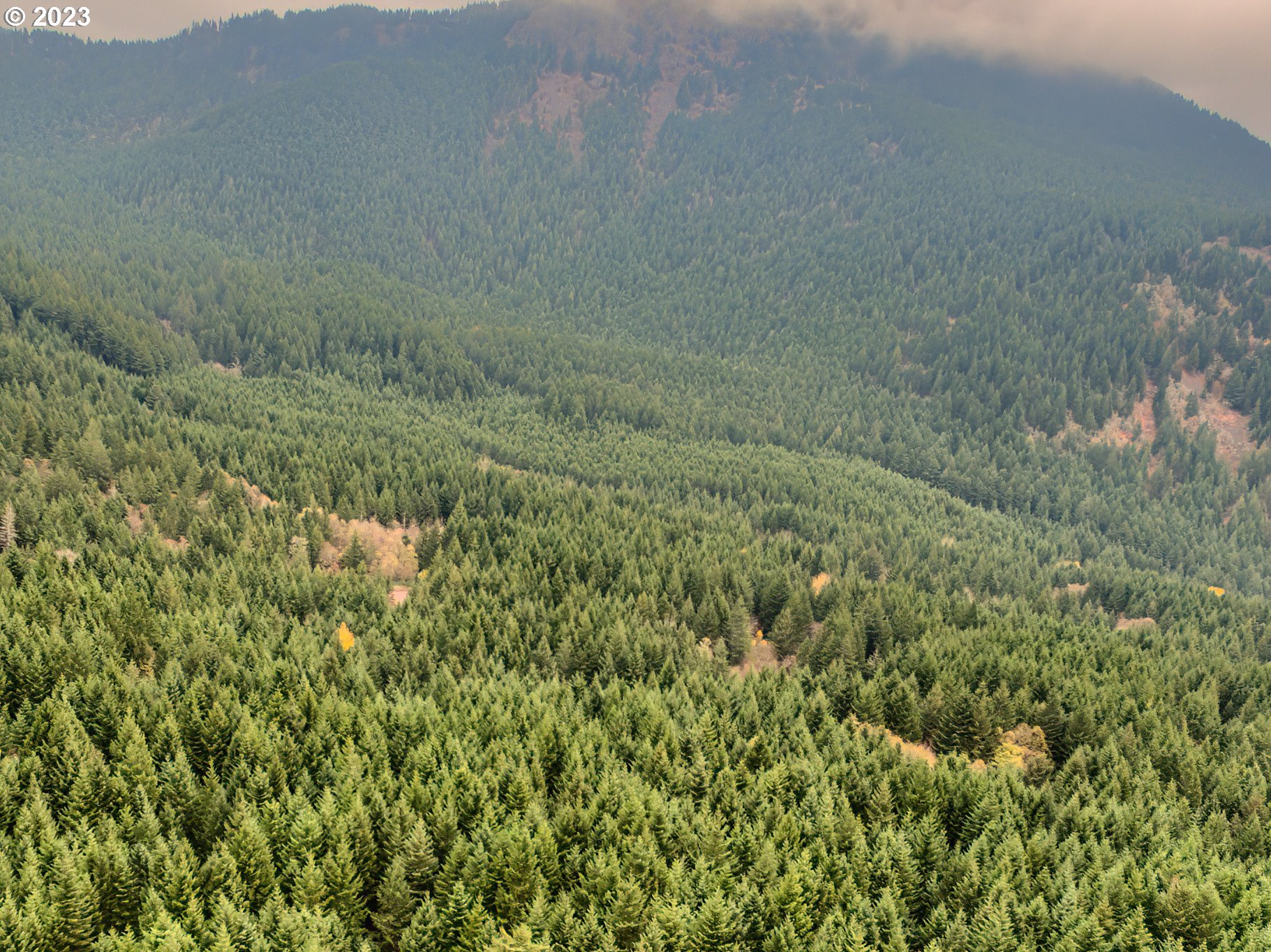 Bergen Road Stevenson, WA 98648 - Photo 5 of 17 a view of a dry yard