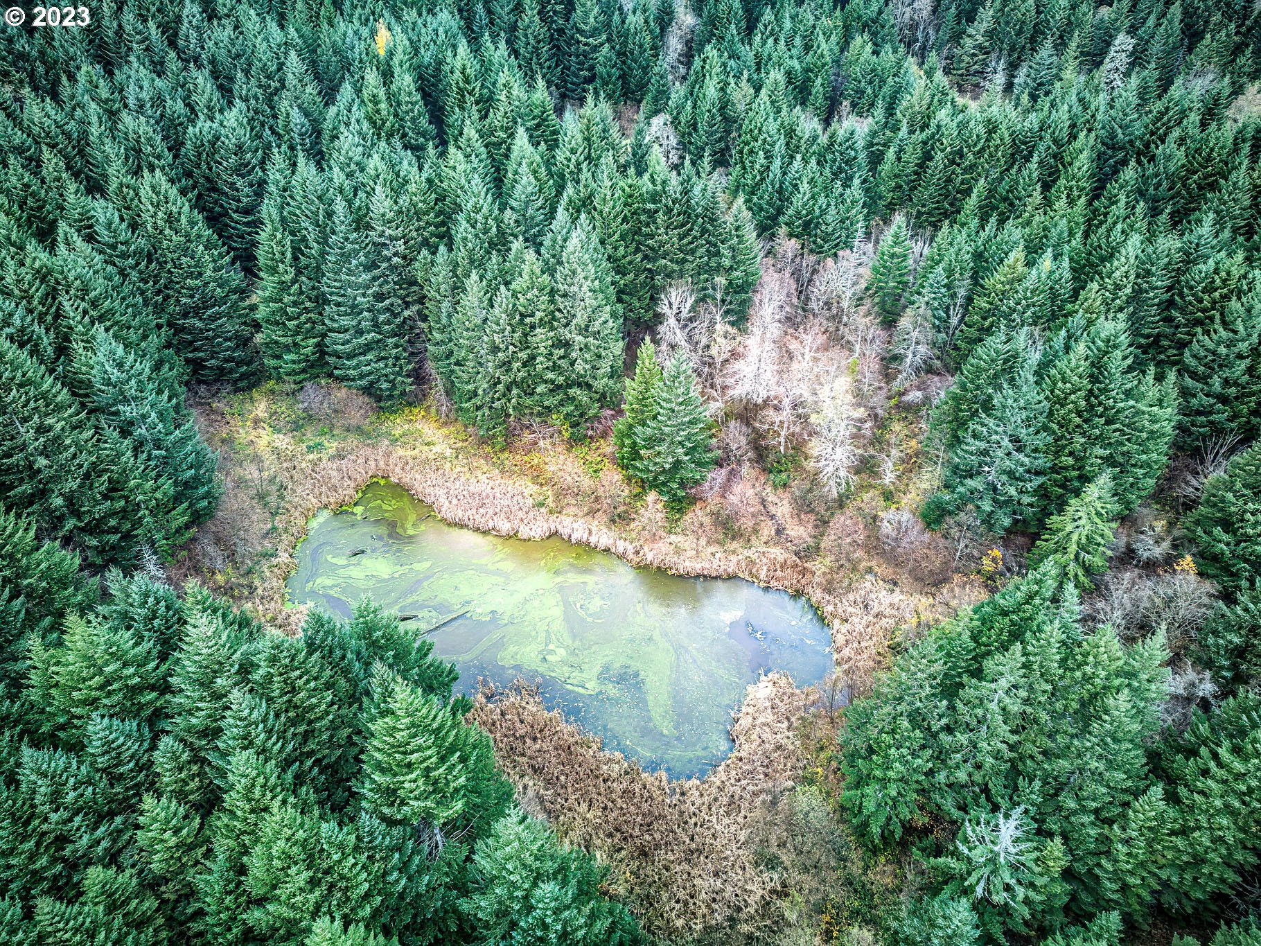 Bergen Road Stevenson, WA 98648 - Photo 8 of 17 a view of lake