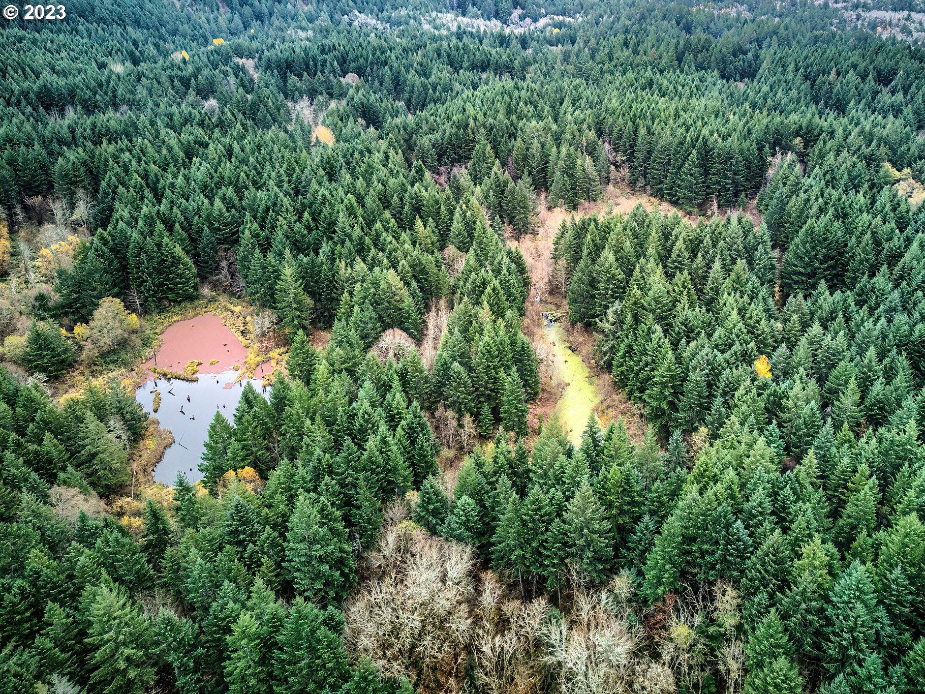 Bergen Road Stevenson, WA 98648 - Photo 9 of 17 an aerial view of residential house with outdoor space and trees all around