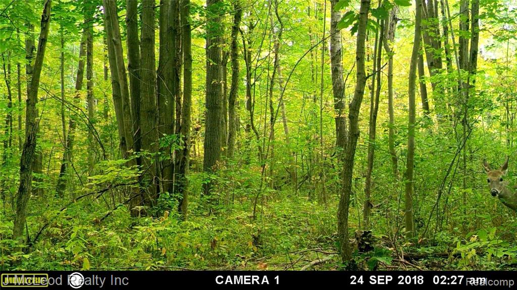 1805 Pierce Road Caro, MI 48723 - Photo 26 of 32