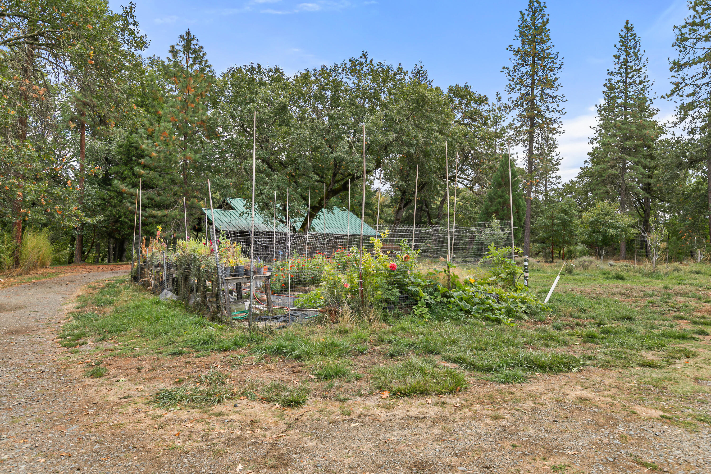 1225 Messinger Road Williams, OR 97544 - Photo 31 of 67 house garden area