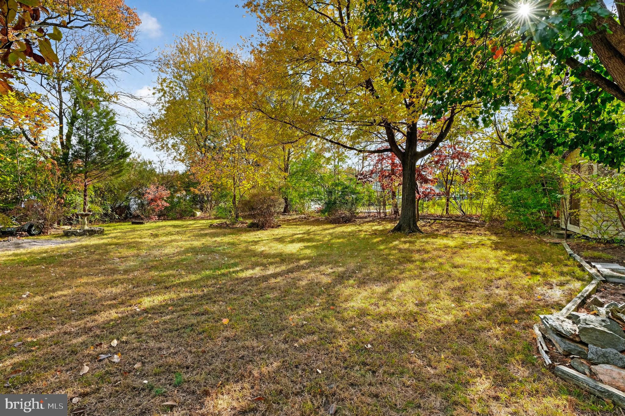 8203 Willow Street Laurel, MD 20707 - Photo 37 of 41 a view of yard with green space