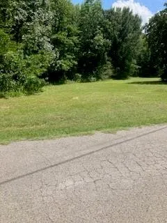 a view of a field with an trees