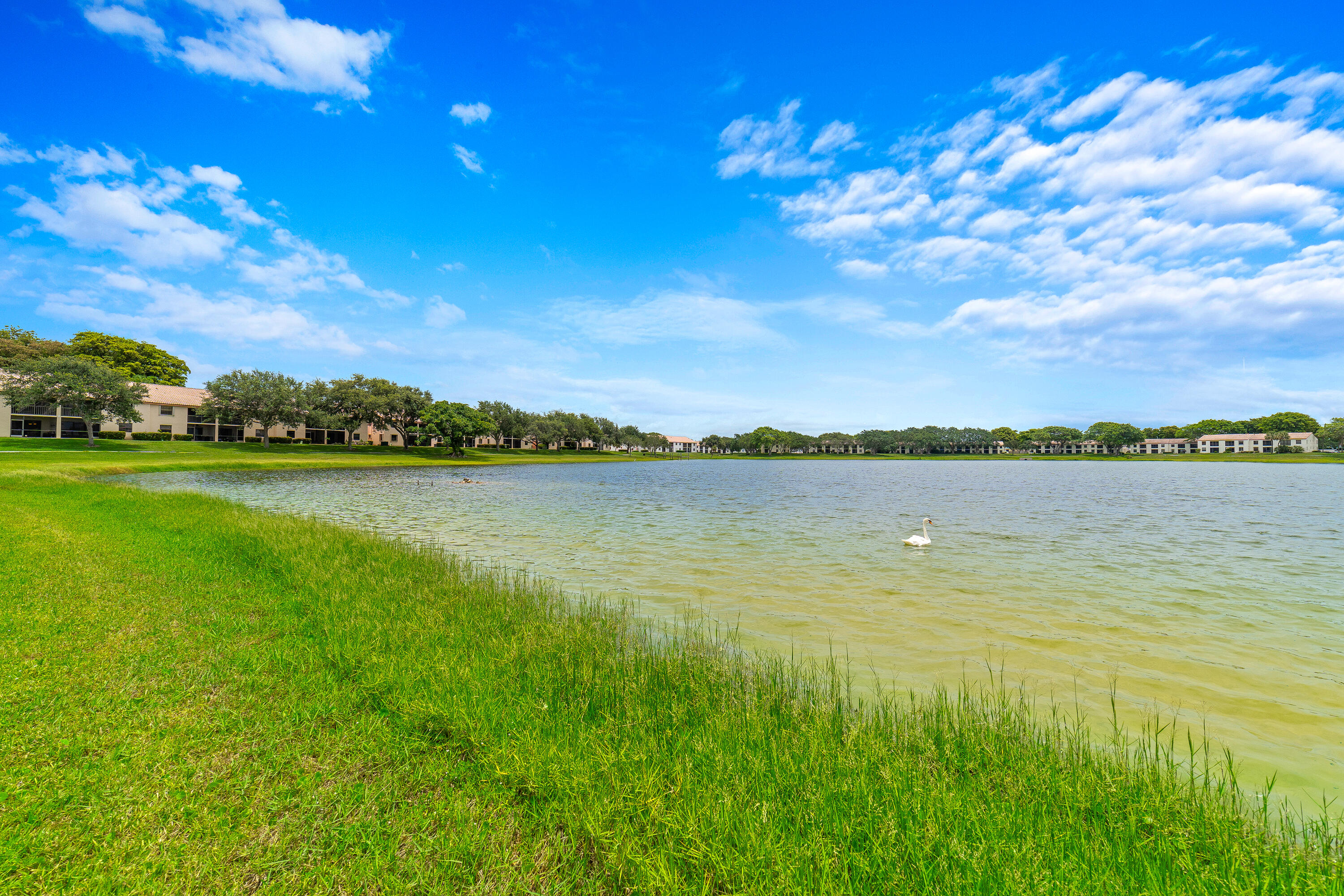 3151 Leewood Terrace, Unit L228 Boca Raton, FL 33431 - Photo 59 of 61 DSC02708