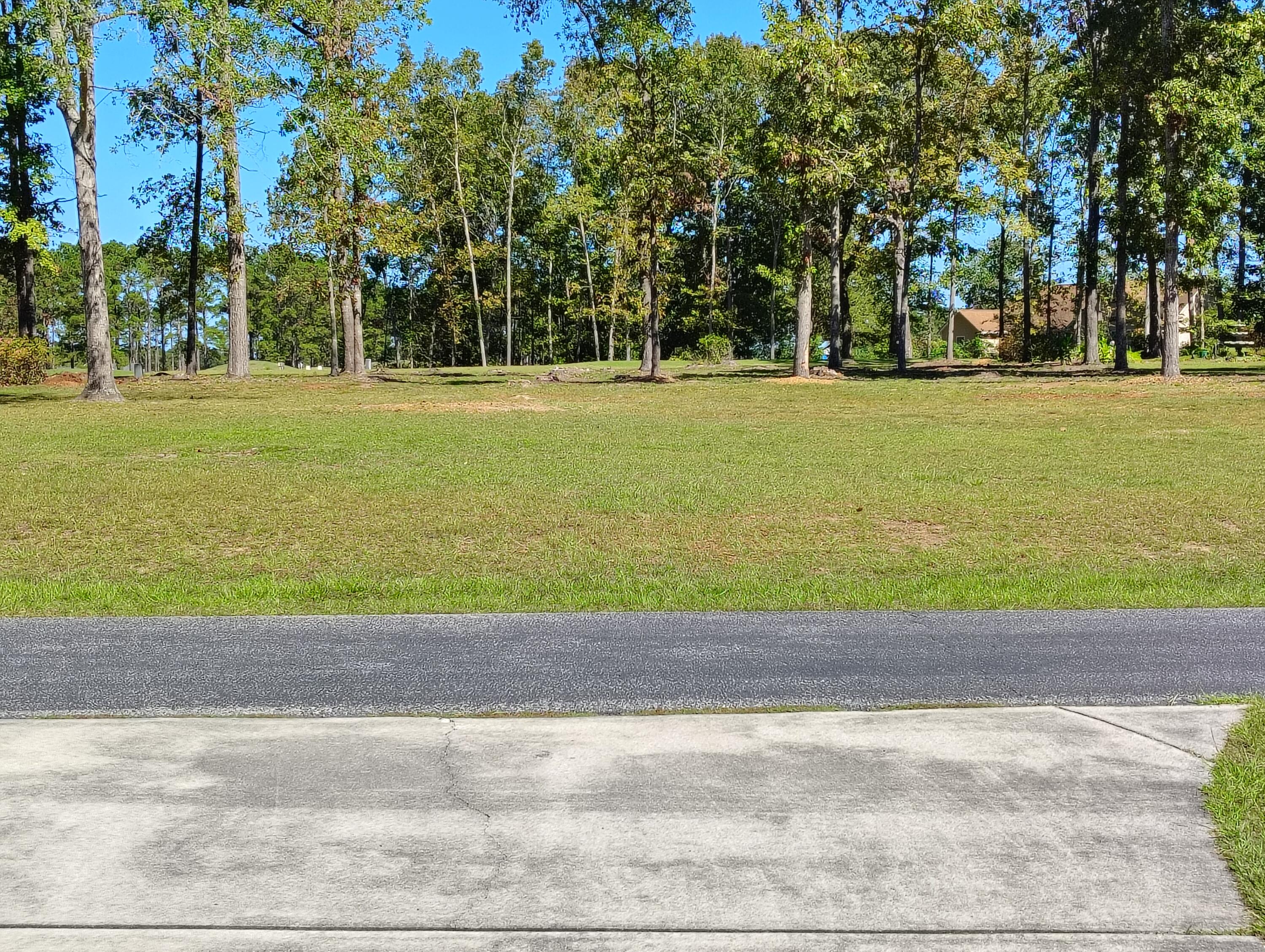 44 Ridge Lake Drive, Unit B/34 Manning, SC 29102 - Photo 4 of 10