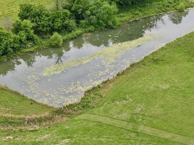 a view of a lake from a yard