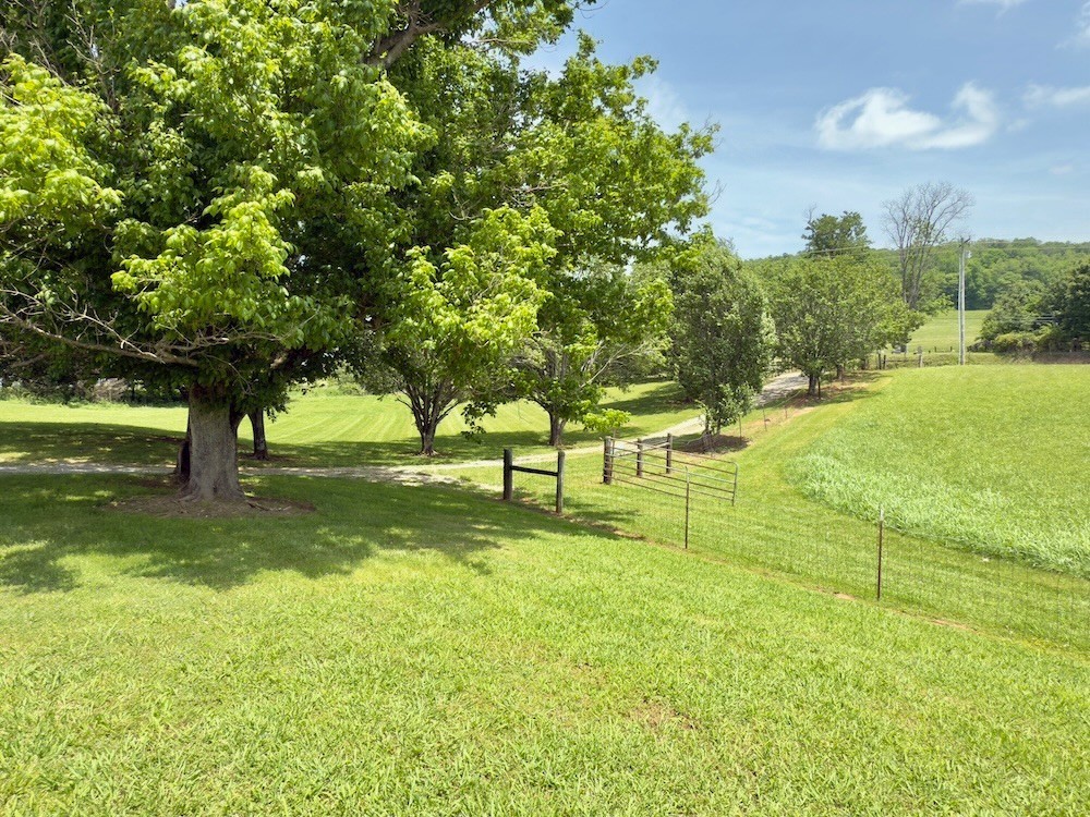 6907 Short Mountain Road Woodbury, TN 37190 - Photo 14 of 35 a view of yard with tree