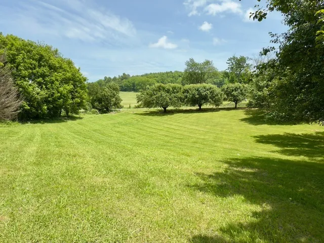 a view of an ocean from a yard