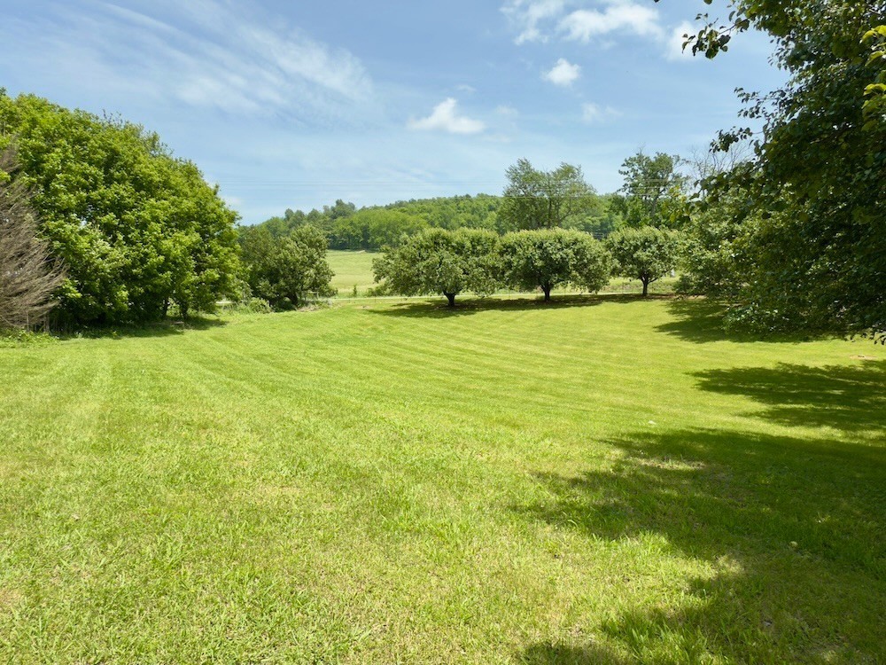 6907 Short Mountain Road Woodbury, TN 37190 - Photo 15 of 35 a view of an ocean from a yard