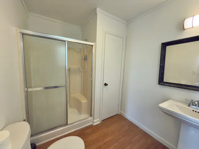 a bathroom with a shower and a toilet