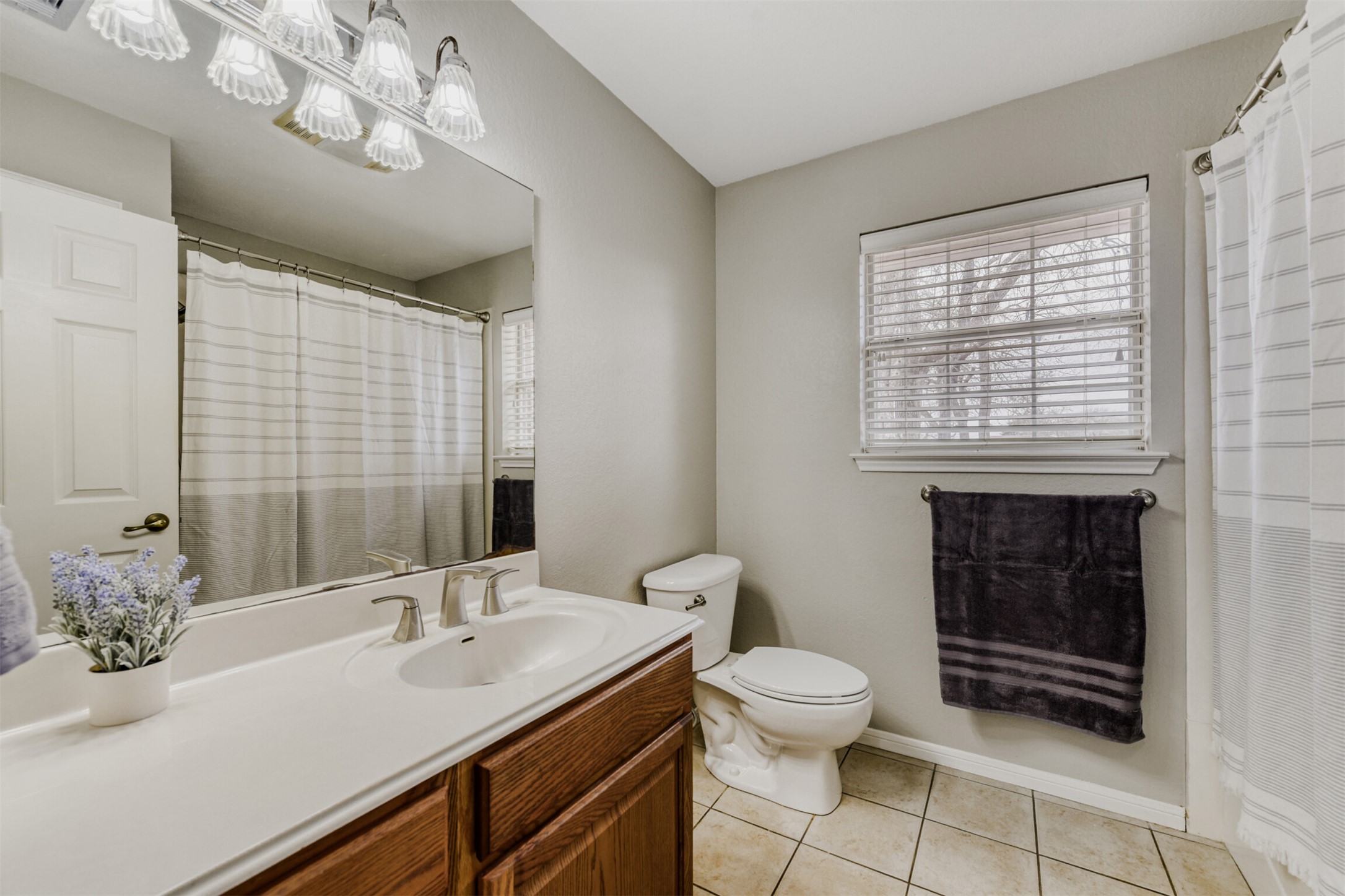 104 Spring Branch Bastrop, TX 78602 - Photo 23 of 32 a bathroom with a sink a toilet and a mirror