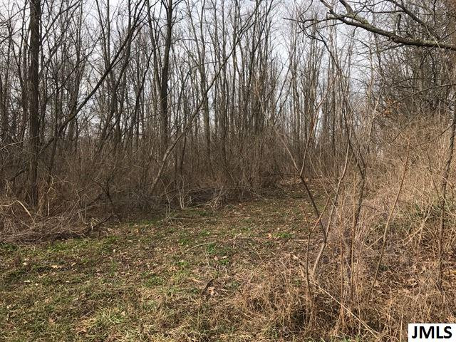 0 Rogers Road Parma, MI 49269 - Photo 1 of 19 Photo 1