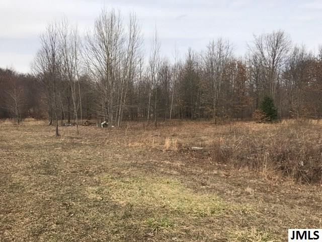 0 Rogers Road Parma, MI 49269 - Photo 11 of 19 Photo 11