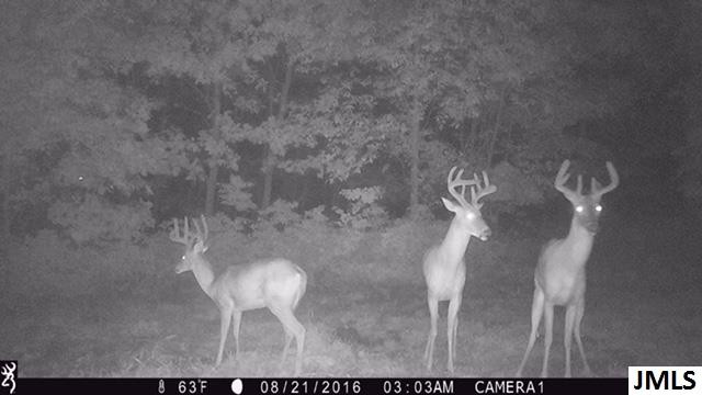 0 Rogers Road Parma, MI 49269 - Photo 12 of 19 Photo 12
