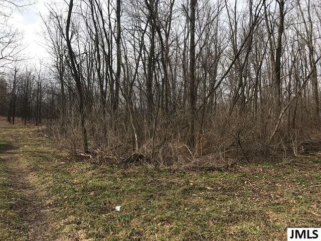 0 Rogers Road Parma, MI 49269 - Photo 2 of 19 Photo 2