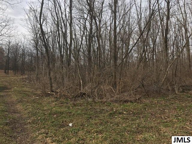 0 Rogers Road Parma, MI 49269 - Photo 3 of 19 Photo 3