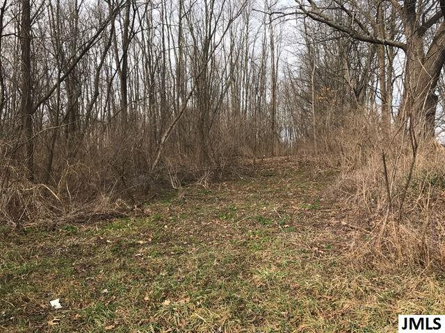 0 Rogers Road Parma, MI 49269 - Photo 4 of 19 Photo 4
