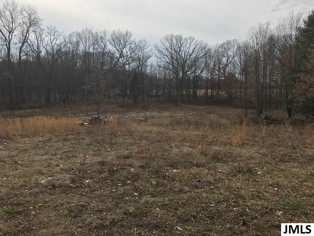 0 Rogers Road Parma, MI 49269 - Photo 7 of 19 Photo 7