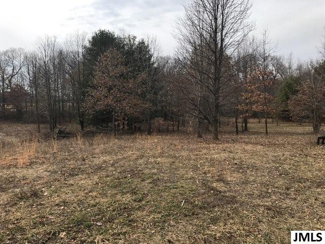 0 Rogers Road Parma, MI 49269 - Photo 8 of 19 Photo 8