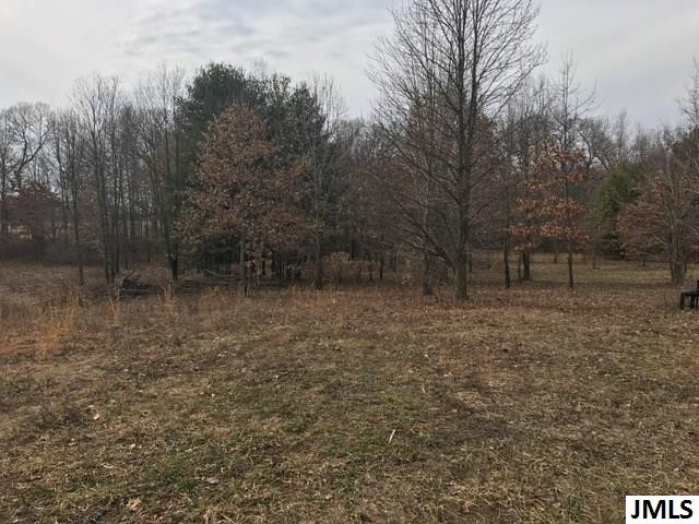 0 Rogers Road Parma, MI 49269 - Photo 9 of 19 Photo 9