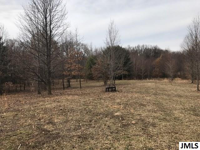0 Rogers Road Parma, MI 49269 - Photo 10 of 19 Photo 10