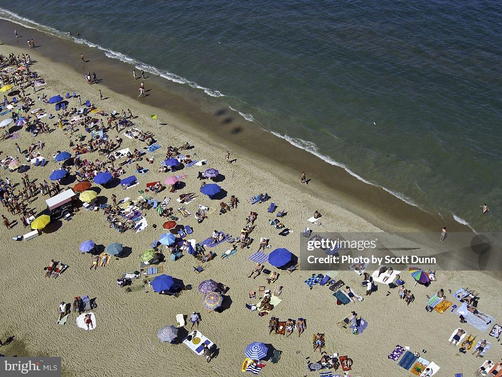 13 Sheffield Road Rehoboth Beach, DE 19971 - Photo 40 of 43