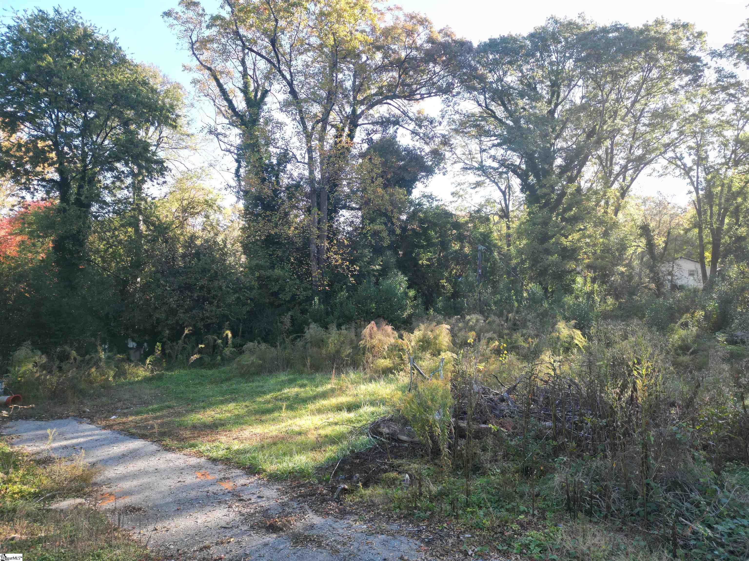 220 Rookard Court Spartanburg, SC 29303 - Photo 3 of 8