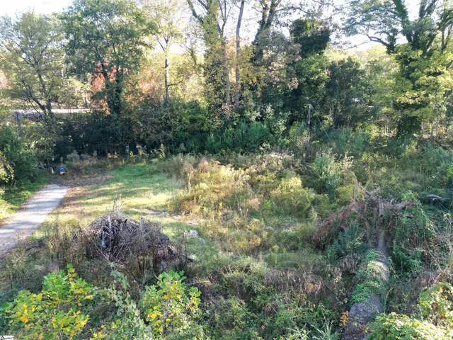 $60,000 | 220 Rookard Court, Spartanburg, SC 29303