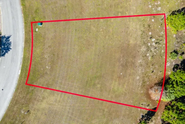 a bathroom with a shower and a plant