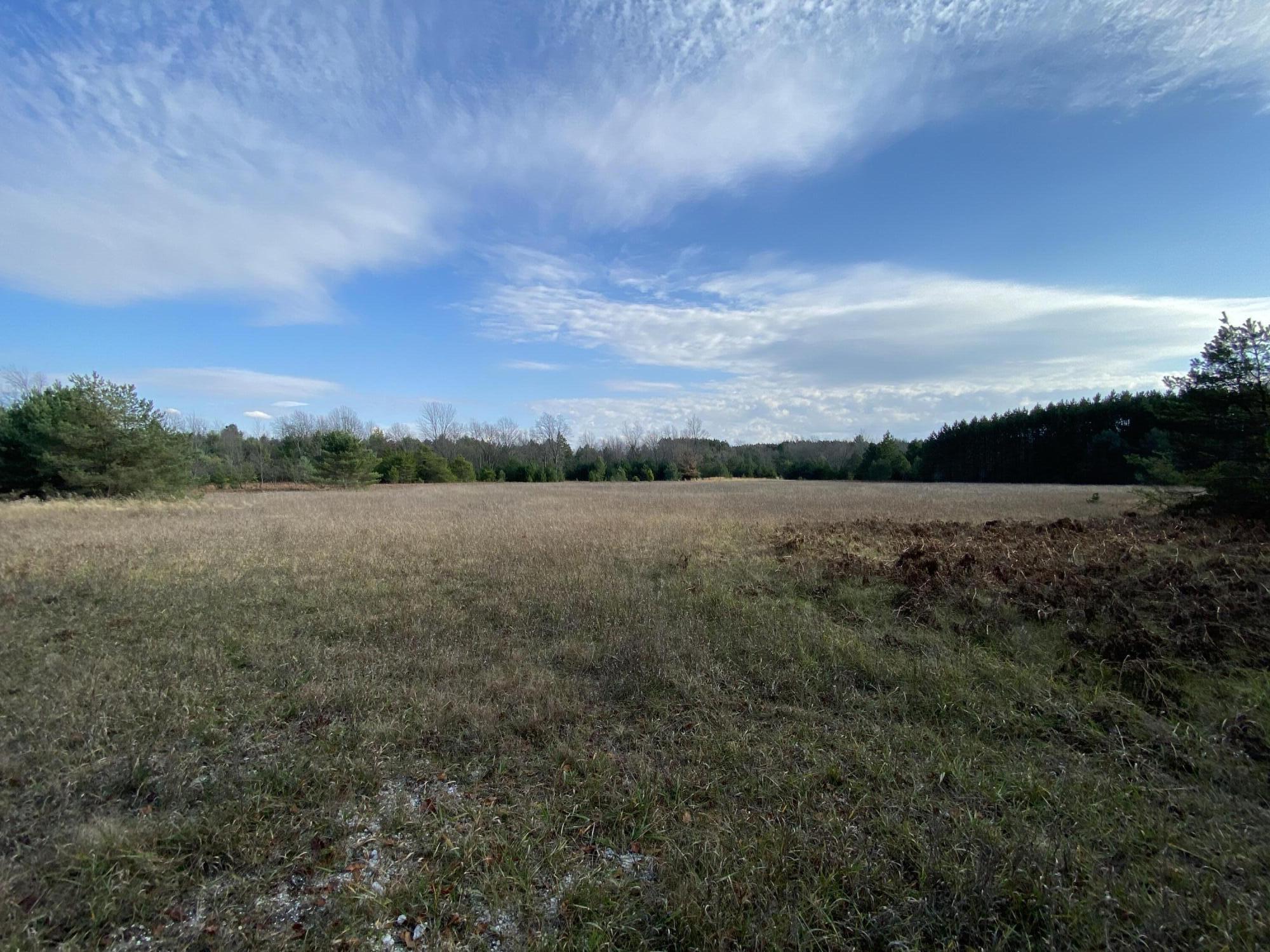 9919 Puustinen Road Kaleva, MI 49645 - Photo 21 of 33 IMG_0056