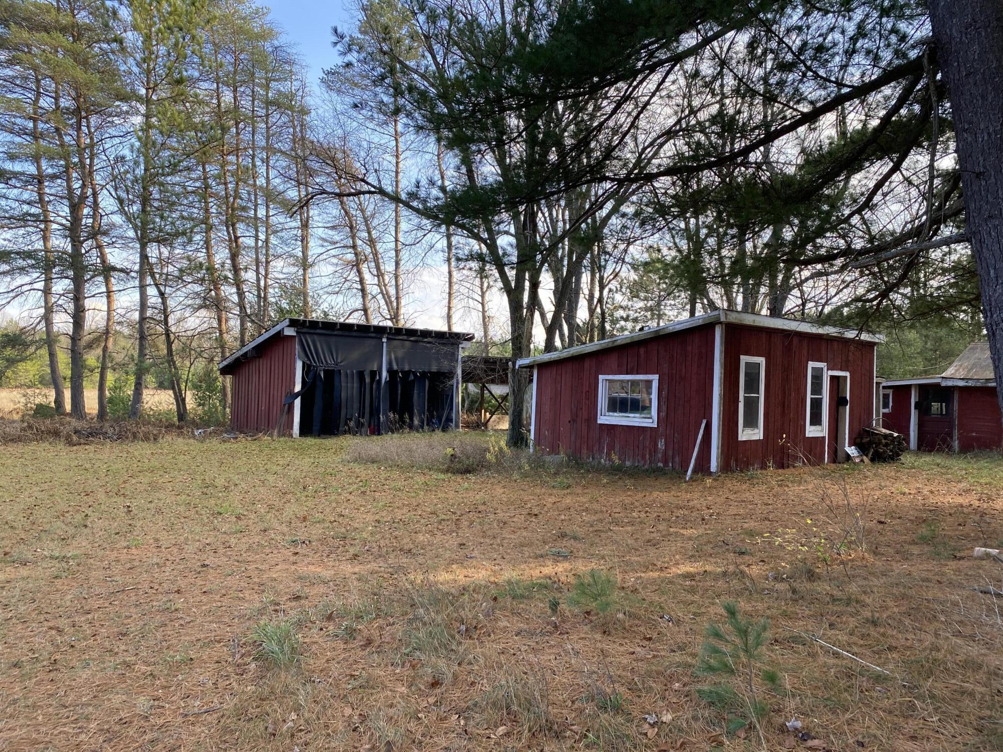 9919 Puustinen Road Kaleva, MI 49645 - Photo 24 of 33 IMG_0053