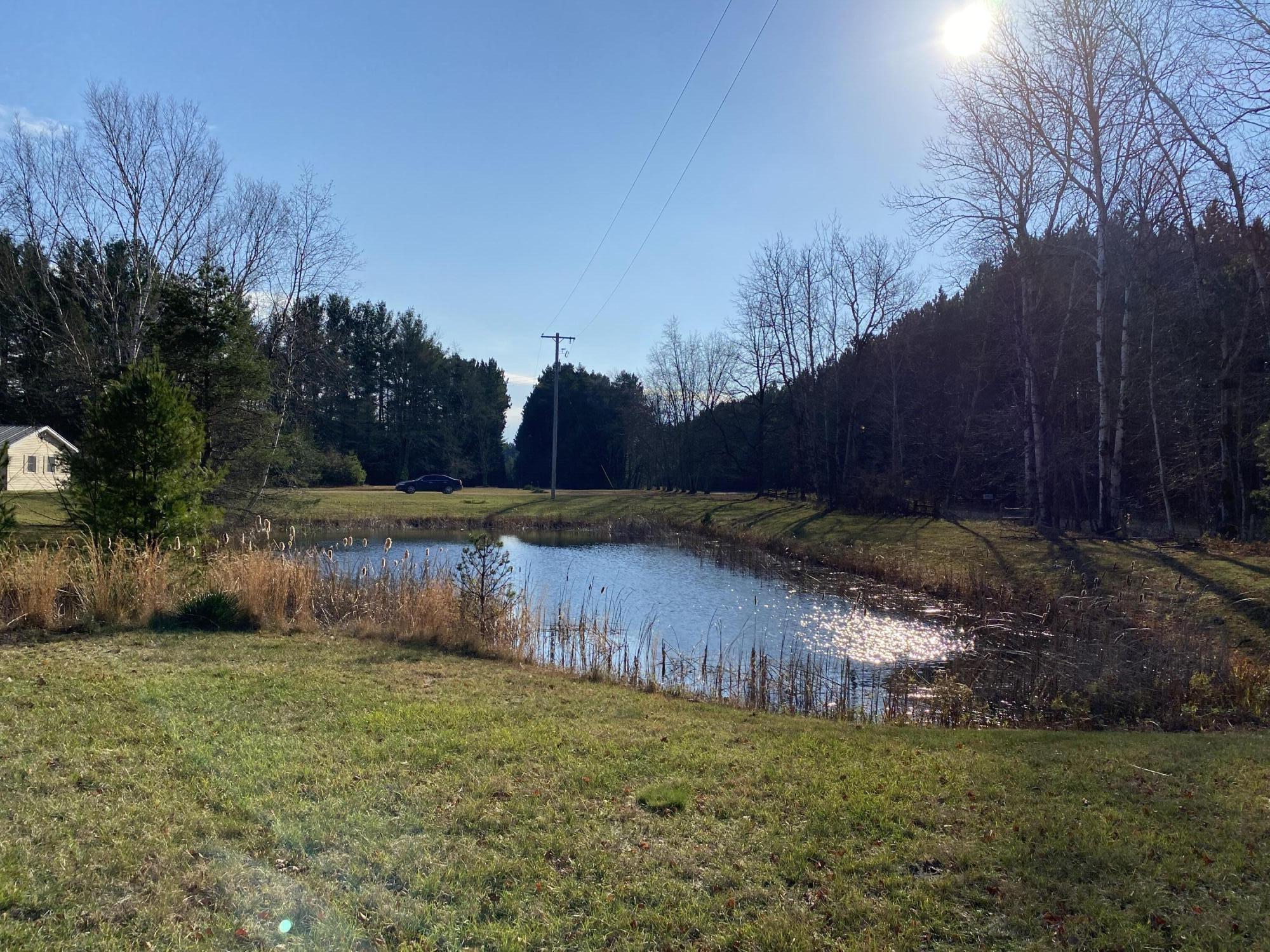 9919 Puustinen Road Kaleva, MI 49645 - Photo 28 of 33 IMG_0048