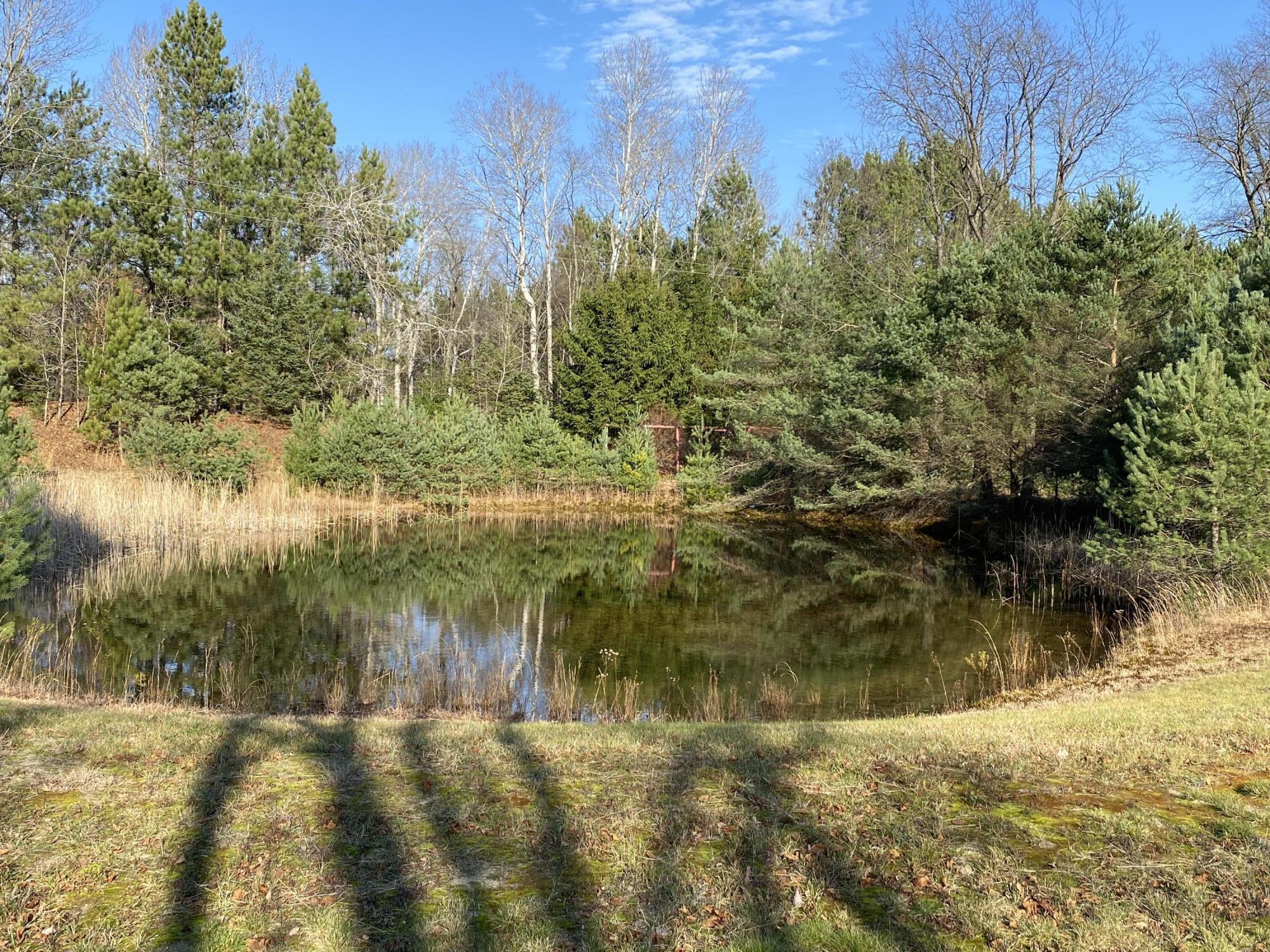 9919 Puustinen Road Kaleva, MI 49645 - Photo 30 of 33 IMG_0046 2