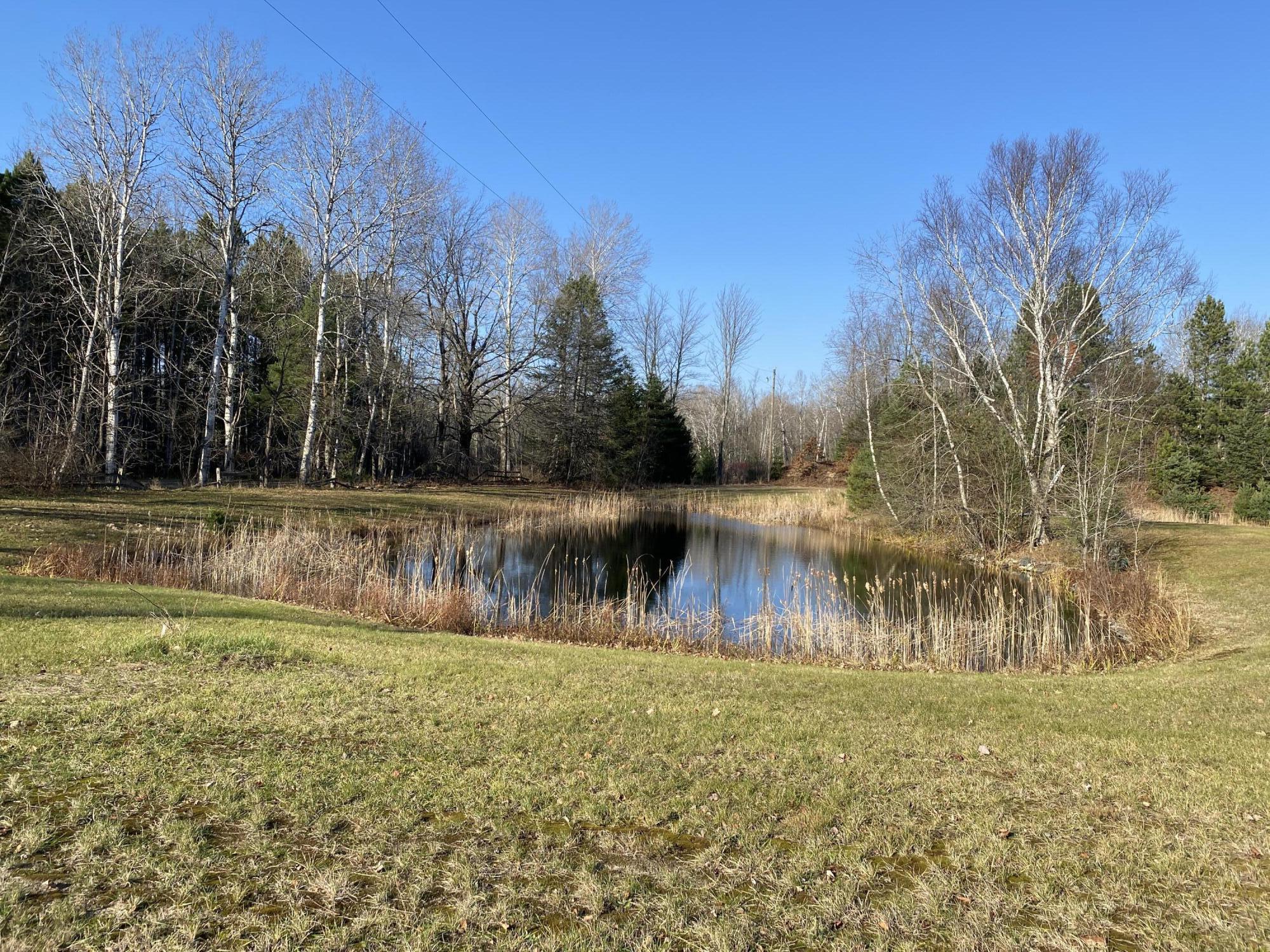 9919 Puustinen Road Kaleva, MI 49645 - Photo 31 of 33 IMG_0042