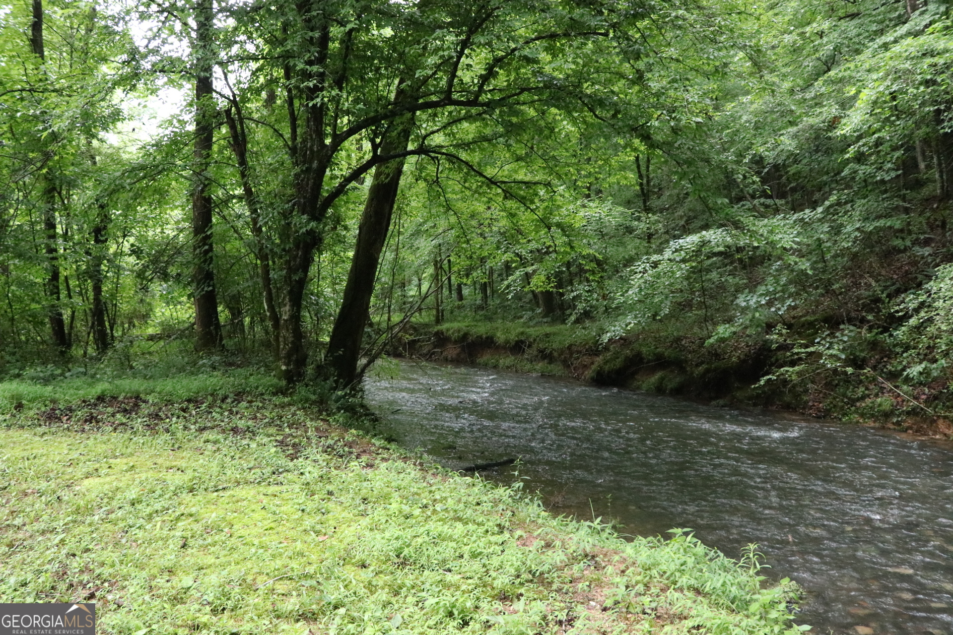 833 Neal Gap Road Summerville, GA 30747 - Photo 38 of 86