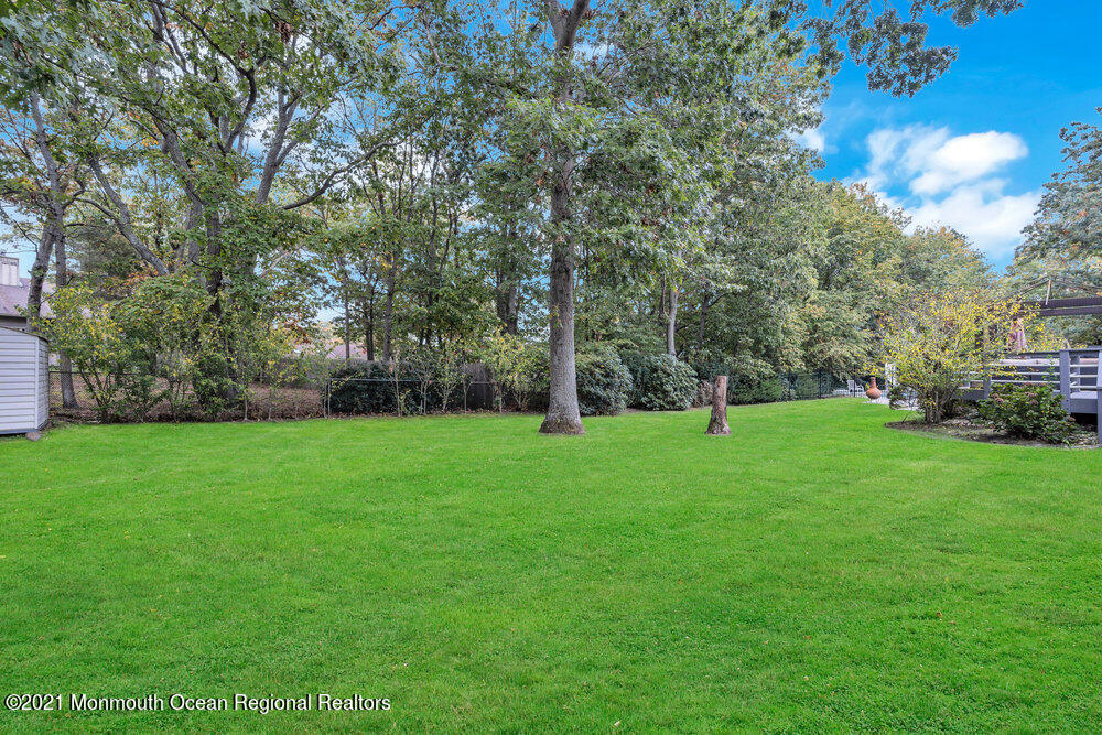 67 Chelsea Road Jackson, NJ 08527 - Photo 49 of 53 a view of a field with plants and trees