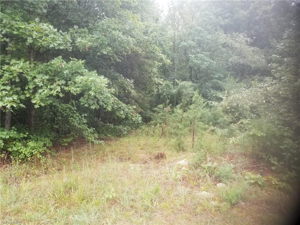 4461 Giles Road Lexington, NC 27295 - Photo 2 of 5 Gallery Image 2
