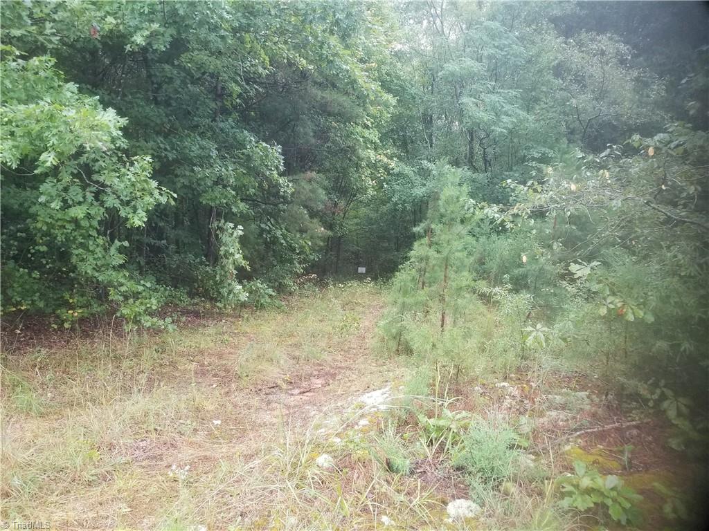 4461 Giles Road Lexington, NC 27295 - Photo 3 of 5 Gallery Image 3